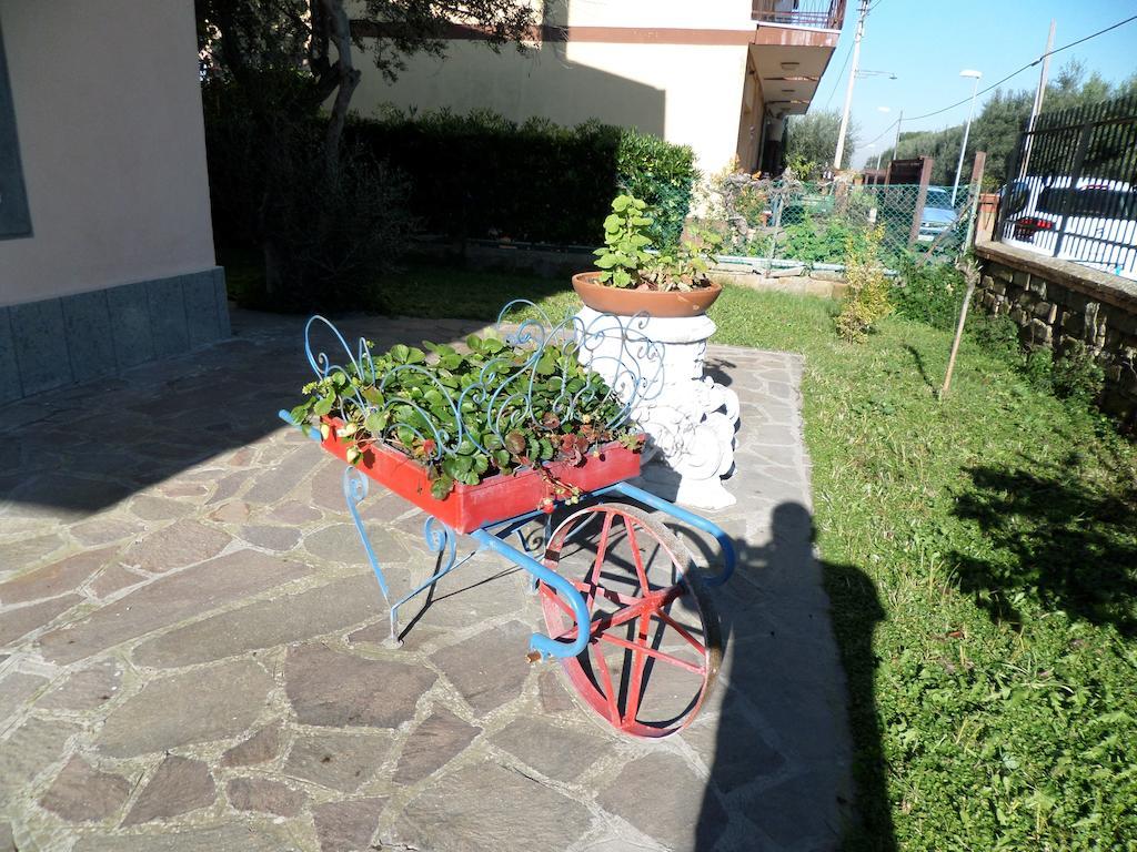 B&B Villino Lory Марино Экстерьер фото